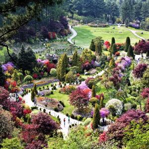 관광지-아침고요수목원