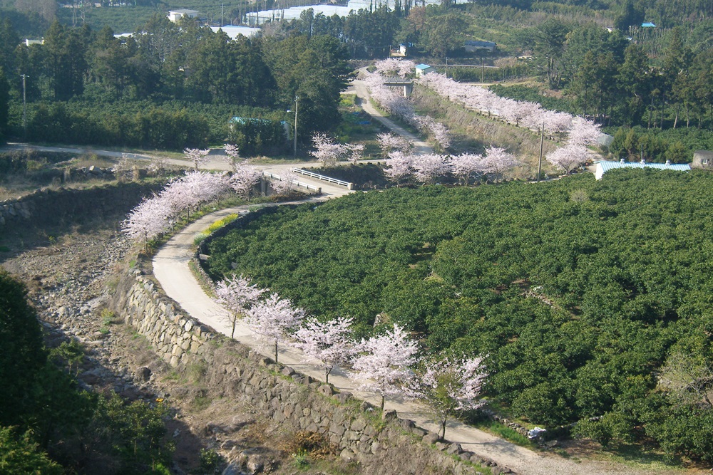 산책로