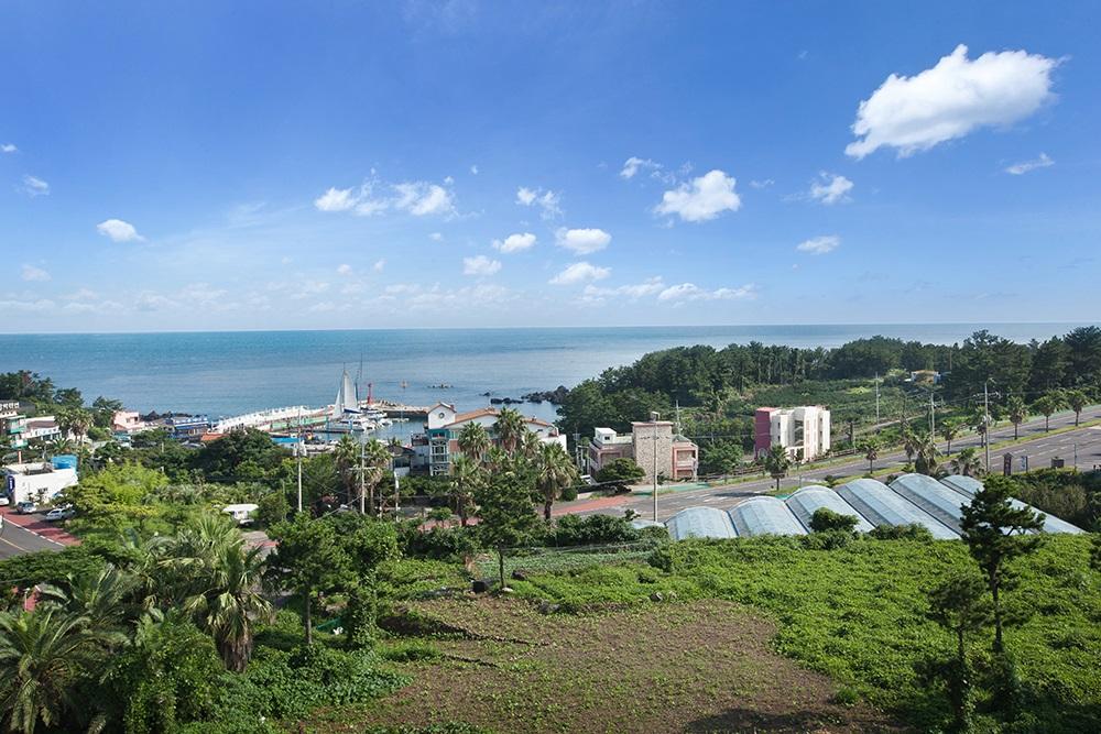 주변환경