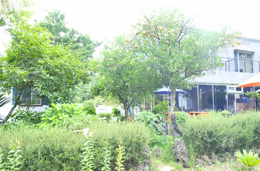 산책로