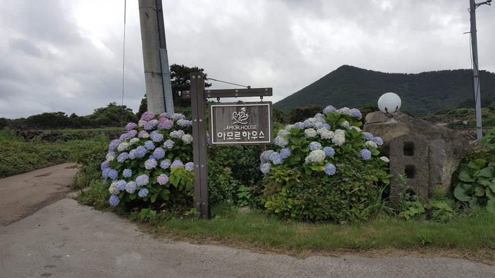 입구