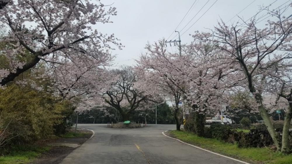 전경