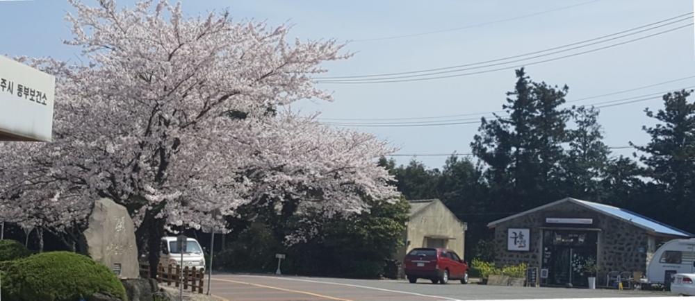 전경