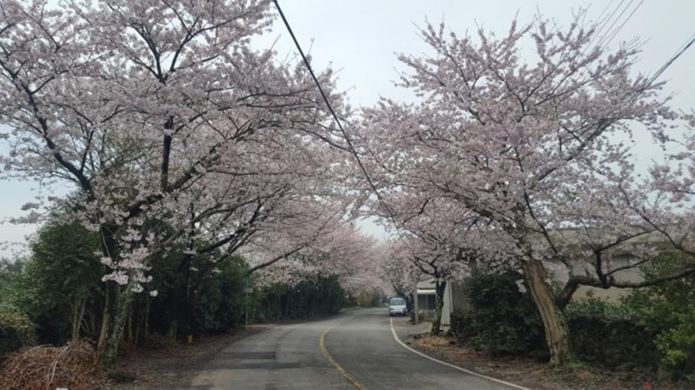 전경