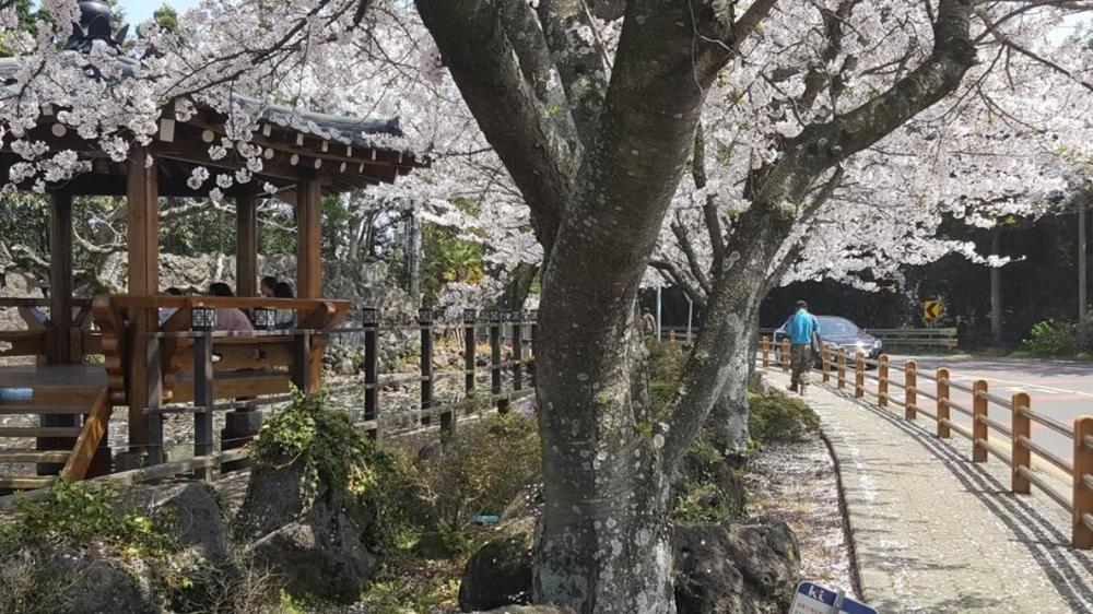 전경