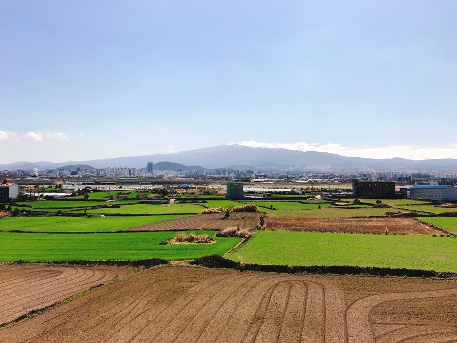 한라산뷰