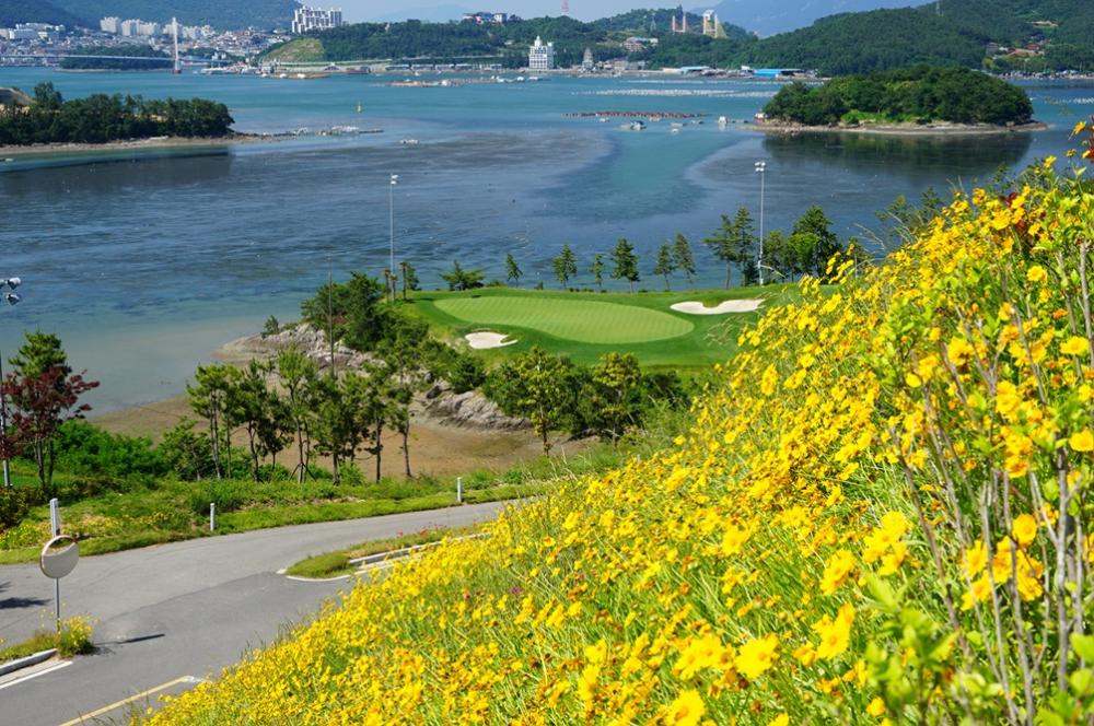 경도봄꽃대축제