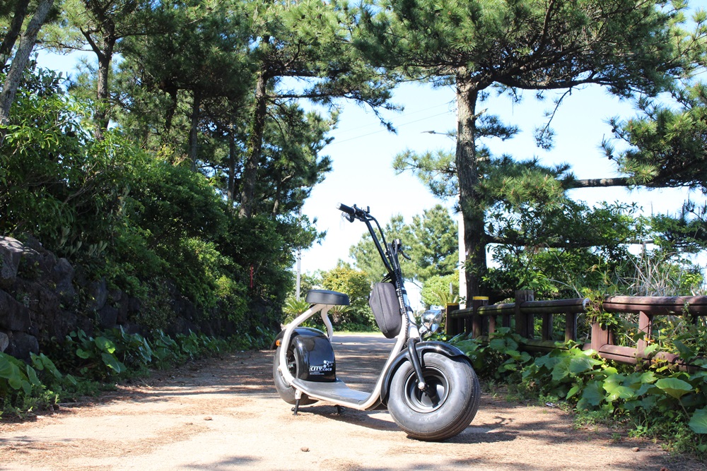 ATTI Riding(전기 스쿠터) 