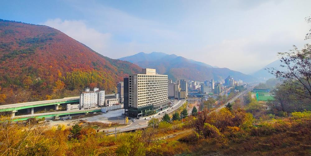 메인