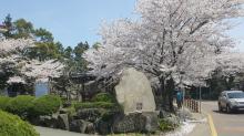전경