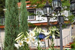 통영별자리펜션 이미지1