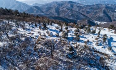 용평리조트 썸네일4